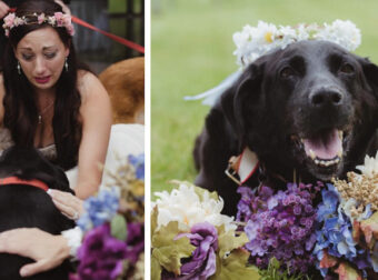 15χρονος σκύλος έζησε μόνο για να δει τον γάμο της ιδιοκτήτριάς του