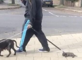 Ιδιοκτήτης σκύλου σέρνει το 5 εβδομάδων κουτάβι του που είναι πολύ κουρασμένο για να περπατήσει