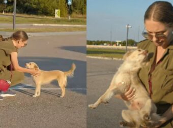 Σκυλάκι Τρέχει Σε Γυναίκα Σε Βενζινάδικο Και Εκείνη Το Ερωτεύεται Και Το Υιοθετεί (vid)