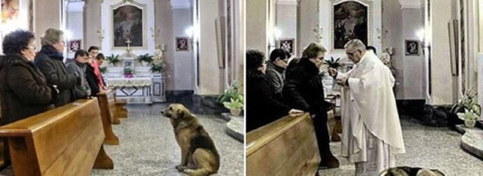 Σκύλος πηγαίνει κάθε μέρα στην εκκλησία και περιμένει τον νεκρό ιδιοκτήτη του να επιστρέψει
