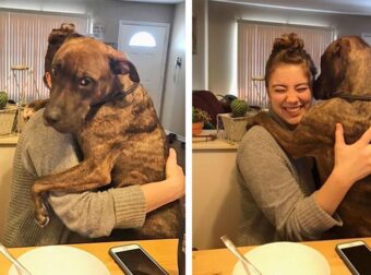 Σκύλος δίνει κάθε μέρα μια μεγάλη αγκαλιά στην γυναίκα που τον έσωσε 1 χρόνο πριν κάθε φορά που εκείνη επιστρέφει στο σπίτι.