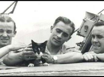 Η φοβερή ιστορία του Simon, του μόνου γάτου που τιμήθηκε με βραβείο ανδρείας σε μάχη