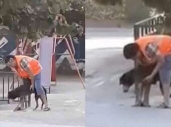 Άνδρας Περπατάει Καθημερινά Με Ηλικιωμένο Σκυλάκι Για Να Τον Βοηθάει Να Ασκηθεί (vid)