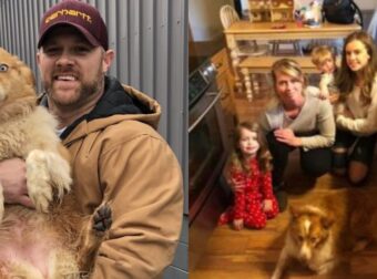 Σκύλος Επιστρέφει Σπίτι Μετά Από 54 Ημερές – Εξαφανίστηκε Μετά Από Ανεμοστρόβιλο