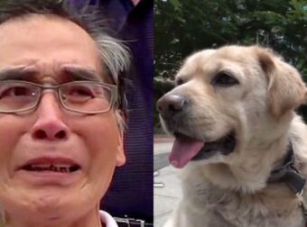 Ηλικιωμένος Με Καρκίνο Στο Τελευταίο Στάδιο «Φεύγει» Αφού Αποχαιρετά Πρώτα Τα Αγαπημένα Του Σκυλιά