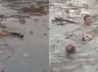 Αστυνομικοί Διασώζουν Σκύλο Που Έπεσε Σε Παγωμένο Ποτάμι (vid)