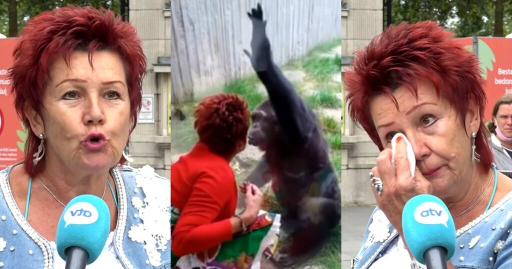 “Βλεπόμαστε εδώ 4 χρόνια”: Ζωολογικός κήπος απαγόρευσε σε 38χρονη να συναντιέται με τον χιμπατζή σύντροφό της