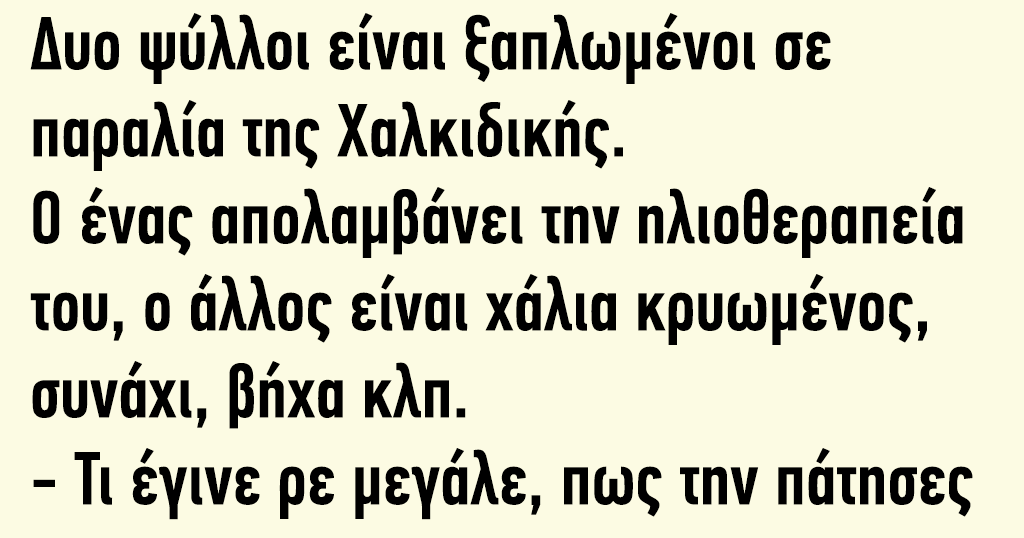 Δυο ψύλλοι είναι ξαπλωμένοι σε παραλία της Χαλκιδικής