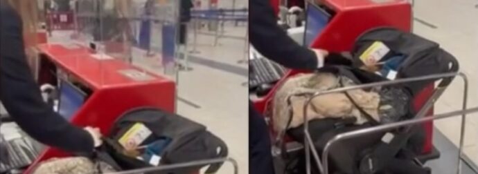 Οι πιο απαράδεκτοι γονείς: Παράτησαν το μωρό τους στο αεροδρόμιο όταν τους ζήτησαν να πληρώσουν το εισιτήριό του (vid)