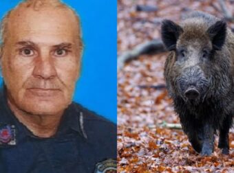 Φρίκη στην Εύβοια: «Τον έφαγαν τα αγριογούρουνα, βρέθηκε μόνο το κρανίο» λέει μάρτυρας για τον 58χρονο πυροσβέστη