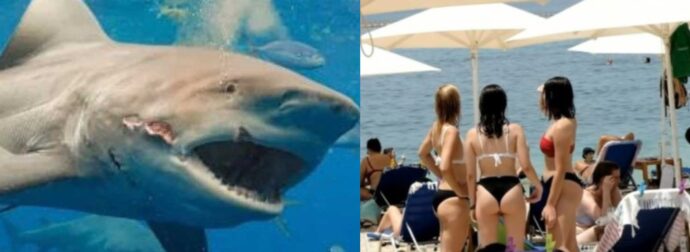 «Πανικός» σε γνωστή ελληνική παραλία: Εμφανίστηκε καρχαρίας, έτρεχαν έξω από τη θάλασσα