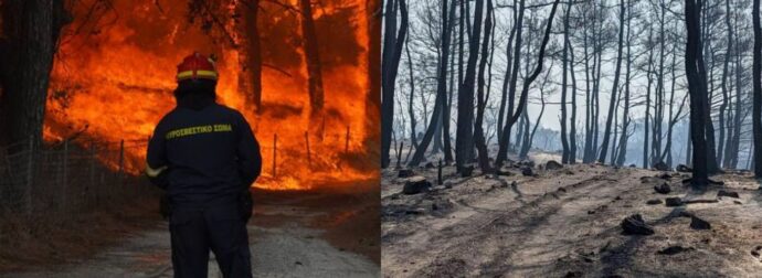 Ξημέρωσε «μαύρη» μέρα για τη χώρα μας: «Πάγωσαν» οι πυροσβέστες – 18 νεκροί στο δάσος της Δαδιάς στον Έβρο