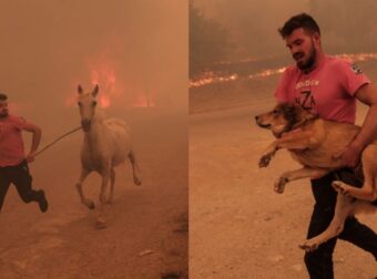 Μπράβο λεβέντη: Νεαρός παλεύει με τις φλόγες στη Φυλή και τρέχει να σώσει τα ζώα από το πύρινο μέτωπο