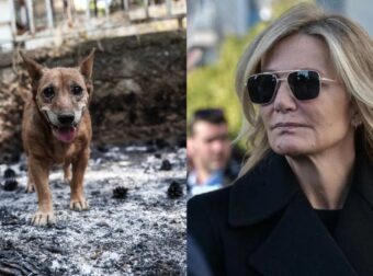 Συγκλονισμένη η Μαρέβα Μητσοτάκη από τις καταστροφικές πυρκαγιές: Η δημόσια έκκληση για βοήθεια
