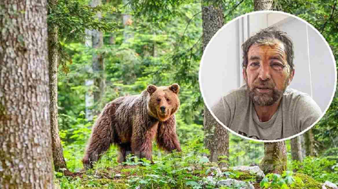Μακρακώμη: «Πήδηξε πάνω στο κεφάλι μου» – Ο βοσκός περιγράφει την επίθεση που δέχθηκε από αρκούδα