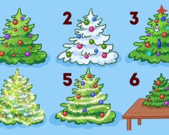 Ψυχολογικό τεστ: Διάλεξε το αγαπημένο σου χριστουγεννιάτικο δέντρο και θα μάθεις πολλά για τον χαρακτήρα σου