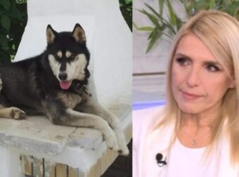 Κατέθεσε για τον Όλιβερ, έριξαν φόλα & στο δικό της σκύλο: Νέο σοκ στην Αράχοβα & τη δημοσιογράφο Ρένα Κουβελιώτη