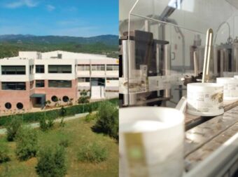 Από το χωριό, στην αυτοκρατορία 7 εργοστασίων: Η ελληνική εταιρεία που κατακτά 60 χώρες με τα.. ντολμαδάκια της