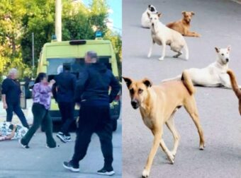 Την κατασπάραξαν: Auτή εivαι η άτυχη 44χρονη μητέρα που της επιτέθηκε αγέλη σκύλων έξω από το σπίτι της