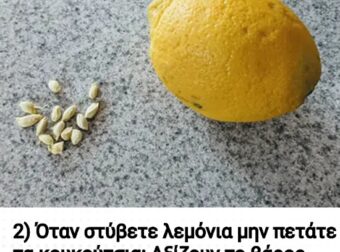Όταν στίβετε λεμόνια μην πετάτε τα κουκούτσια: Πώς μπορείτε να τα χρησιμοποιήσετε