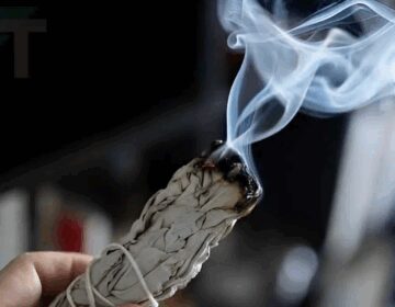 10 φυτά που αν κάψετε μερικά από τα φύλλα τους εξαλείφεται η κακή ενέργεια και το κακό μάτι