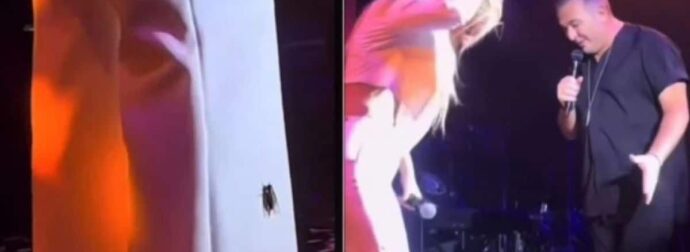 Θεσσαλονίκη: Κατσαρίδα ανέβηκε σε Ελληνίδα τραγουδίστρια στην πίστα – Ψύχραιμος ο Ρέμος (Vid)