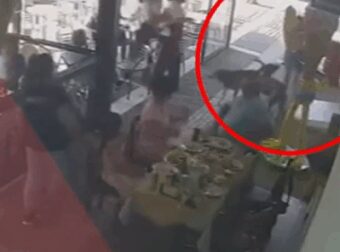 «Το παιδί είχε πολύ βαθιά τραύματα στο κεφάλι»