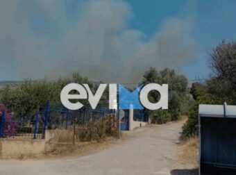 Φωτιά τώρα στην Ερέτρια – Κοντά σε σπίτια οι φλόγες, εστάλη «112» προς τους κατοίκους