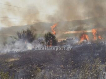 Φωτιά τώρα στον Δομοκό – Σηκώθηκαν δύο αεροσκάφη