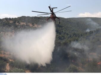 Κίνδυνος Πυρκαγιάς: Έκλεισαν φαράγγια στην Κρήτη – Ποιες είναι οι κόκκινες περιοχές