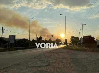 Φωτιά στη Θεσσαλονίκη – Επιχειρούν και εναέριες δυνάμεις, ήχησε το 112 – Δείτε βίντεο