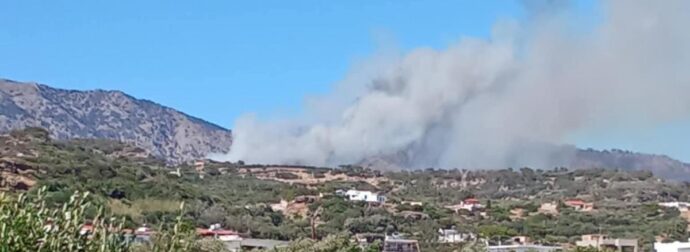 ΦΩΤΙΑ ΣΤΗΝ ΠΕΡΙΟΧΗ ΑΧΛΙΑ ΣΤΟ ΝΟΜΟ ΛΑΣΙΦΘΟΥ