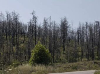 Φωτιά στην Εύβοια: Συνελńφθn ο 52χρονος