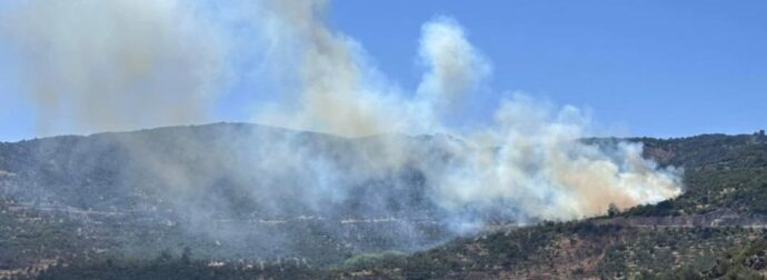 Μυτιλήνη: Φωτιά ξέσπασε σε ένα από τα μεγαλύτερα νησιά της Χώρας – Οι πρώτες Εικόνες