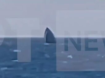 Λέσβος: Βύθιση σκάφους της Frontex ανοιχτά της Ανάξου – Σώοι οι έξι επιβαίνοντες