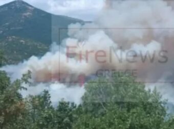 Εκκενώθηκε καταφύγιο με 55 παιδιά λόγω της μεγάλης φωτιάς σε δάσος στη Σκάλα