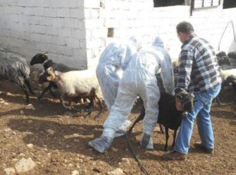 ΔΡΑΜΑΤΙΚΗ ΔΗΛΩΣΗ – ΑΙΓΟΠΡΟΒΑΤΑ: “Αν δεν πετύχουν τα μέτρα θα πάμε σε lockdown”