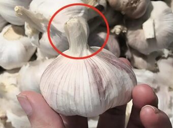 Το σκόρδο πωλείται στην αγορά, αλλά αν δείτε αυτές τις 4 σκελίδες, μην τους πάρετε ακόμα και αν είναι δωpεάν