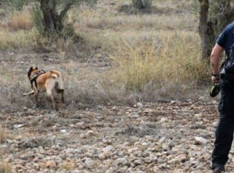 Τραγική κατάληξη στην Κάρπαθο: Νεκρός βρέθηκε ο τουρίστας που αγνοούνταν από τον Ιούνιο