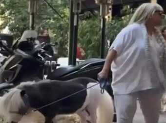 Γυναίκα έβγαλε βόλτα το πόνυ της στο κέντρο της Αθήνας