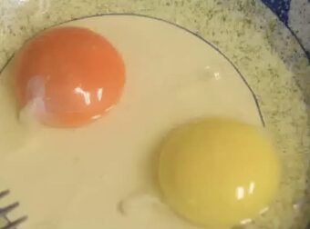 Τι σημαίνει αν ο κρόκος ενός αυγού είναι κίτρινος ή πορτοκαλί – Ποιος είναι ο πιο υγιεινός