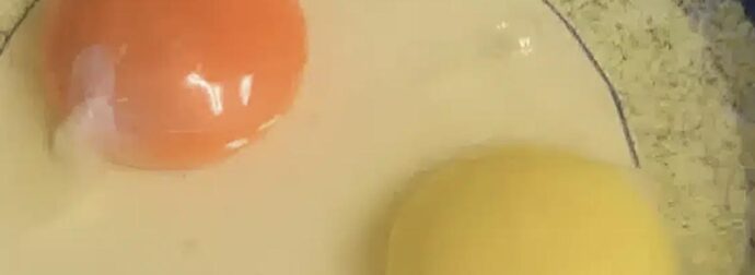 Τι σημαίνει αν ο κρόκος ενός αυγού είναι κίτρινος ή πορτοκαλί – Ποιος είναι ο πιο υγιεινός