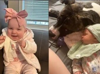 Σε σοκ μητέρα βρέφους – Κατασπάραξε το 7 μηνών κοριτσάκι της… – «Δεν θα καταλάβω ποτέ γιατί!»