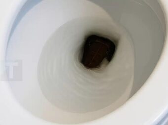 Σήκωσα το καπάκι της τουαλέτας το πρωί και πάγωσα — στην αρχή νόμιζα πως ήταν απλώς ένα αντικείμενο, μέχρι που άρχισε να κινείται