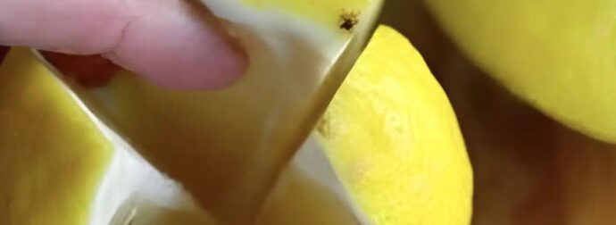 Κόψτε ένα λεμόνι στα τέσσερα και αφήστε το στο υπνοδωμάτιό σας όλη τη νύχτα – ο λόγος είναι πανέξυπνος