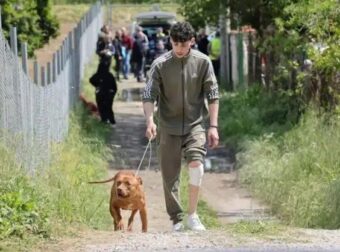 Φpίκη: Πίτμπουλ κατασπάpαξαν μωpάκι μόλις 13 μηνών