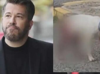 Βαρθακούρης: «Πυρ και μανία» για την κτηνωδία με τα βασανιστήρια σε σκύλο στην Ηλεία – Tα πολύ σκληρά του λόγια