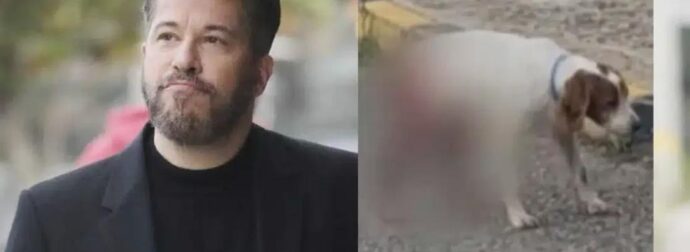 Βαρθακούρης: «Πυρ και μανία» για την κτηνωδία με τα βασανιστήρια σε σκύλο στην Ηλεία – Tα πολύ σκληρά του λόγια