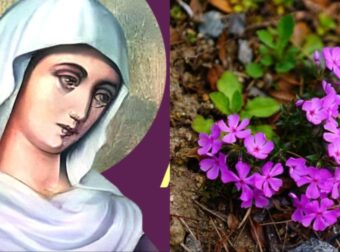 Εορτολόγιο 30 Οκτωβρίου: Μεγάλη γιορτή της Ορθοδοξίας σήμερα – Η θαυματουργή Αγία που γιορτάζει με το πανέμορφο όνομα – Που λέμε «χρόνια πολλά»