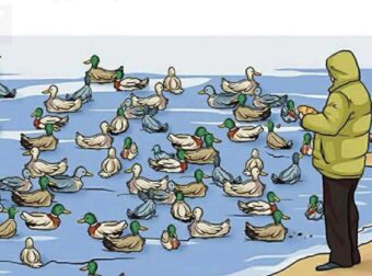 Αν μπορείτε να εντοπίσετε τι δεν πάει καλά σε αυτή τη φωτογραφία, είστε διάνοιες